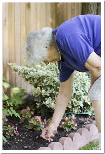 Back Pain Oak Park IL Gardening