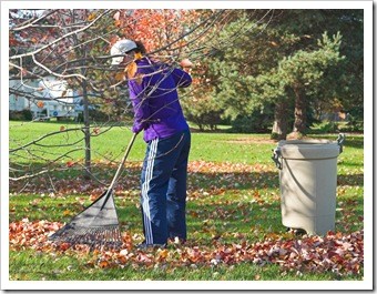 Oak Park IL Back Pain