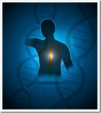 Chiropractor Oak Park IL Health Solutions
