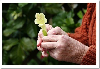 Arthritis Pain Relief Oak Park IL