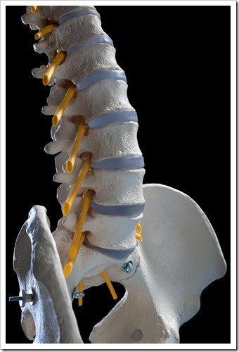 Herniated Disc and Back Pain Oak Park IL