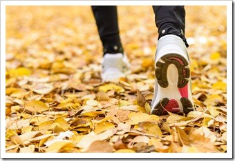 Oak Park IL Walking and Chiropractic Wellness